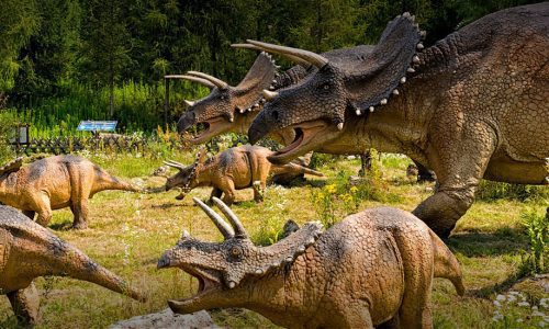wycieczki-top-leba-park-dinozaurow